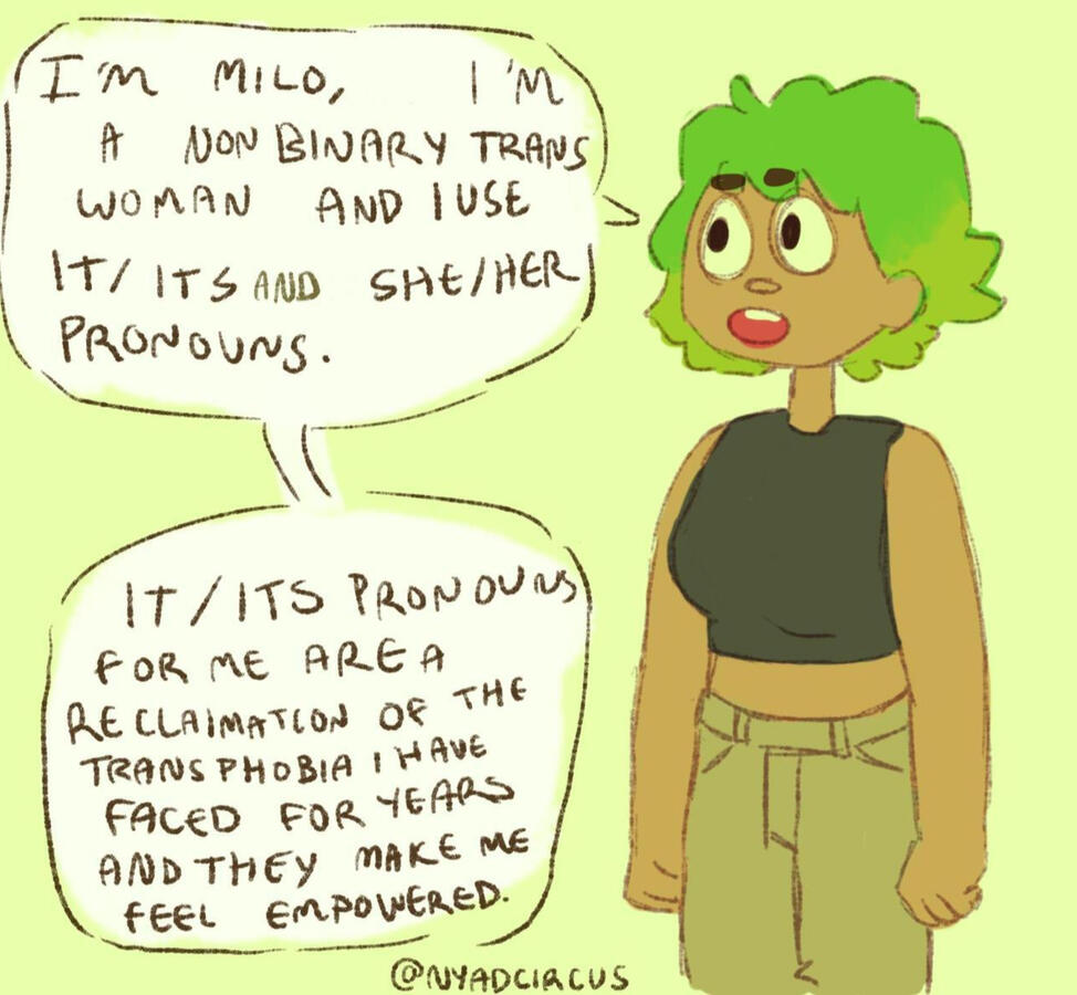 Nonbinary trans woman with multiple pronouns