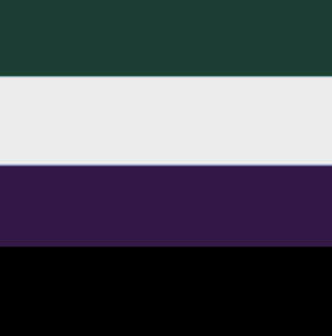 Exipronoun flag